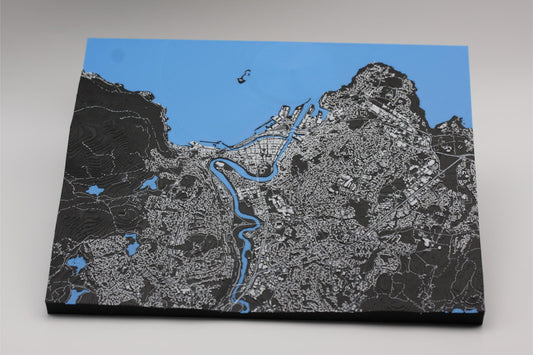 3D topografisk kart av Trondheim