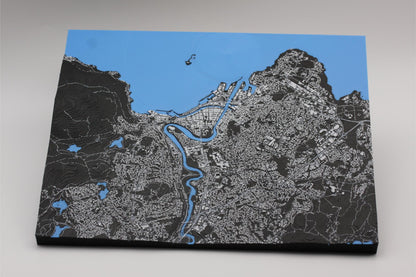 3D topografisk kart av Trondheim