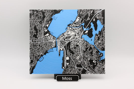 3D topografisk kart av Moss