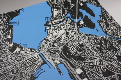 3D topografisk kart av Moss